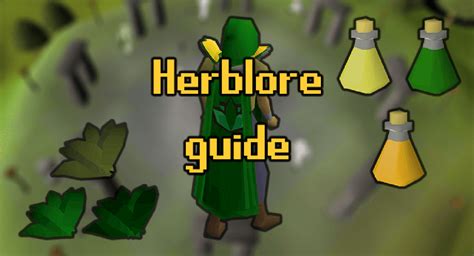 It&39;s like 1 herb pays for 1 seed. . Herblore guide osrs